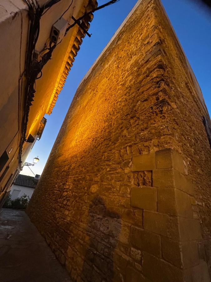 Apartamento ¨El Lizon¨ Setenil De Las Bodegas Zewnętrze zdjęcie